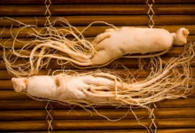 خواص جینسینگ برای لاغری: بررسی علمی مکانیسم اثر، نحوه مصرف و نکات ایمنی