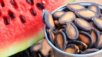 ۱۱ خاصیت شگفت‌انگیز تخمه هندوانه برای سلامت زنان (مبتنی بر شواهد علمی)