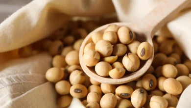 خواص آجیل سویا برای زنان: راهنمای کامل مبتنی بر شواهد علمی