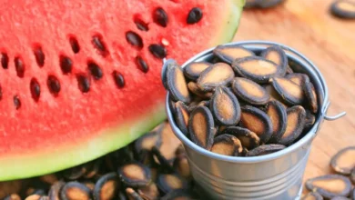 ۹ خاصیت علمی و شگفت‌انگیز تخمه هندوانه برای کبد (و آنچه باید درباره آن بدانید)