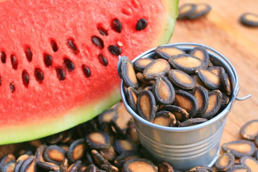 ۹ خاصیت علمی و شگفت‌انگیز تخمه هندوانه برای کبد (و آنچه باید درباره آن بدانید)