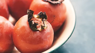 ۹ خاصیت شگفت‌انگیز خرمالو برای پوست: از کلاژن‌سازی تا درمان لک