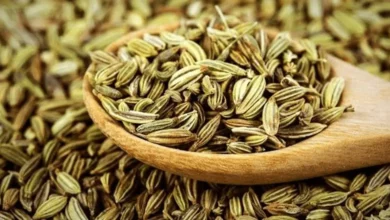 زیره سبز برای نوزاد: آیا این ادویه سنتی برای مشکلات گوارشی فرشته کوچک شما ایمن است؟