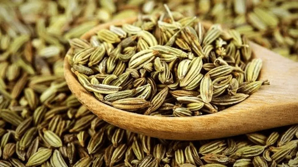 زیره سبز برای نوزاد: آیا این ادویه سنتی برای مشکلات گوارشی فرشته کوچک شما ایمن است؟ زیره سبز برای نوزاد: آیا این ادویه سنتی برای مشکلات گوارشی فرشته کوچک شما ایمن است؟
