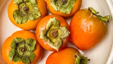خرمالو در بارداری: راهنمای کامل خواص، فواید و نکات ایمنی برای سلامت مادر و جنین