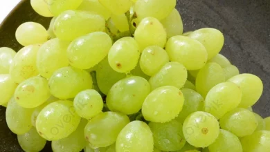 خواص غوره (آبغوره) برای کلیه: حقایق علمی، فواید، خطرات و توصیه‌های مصرف ایمن