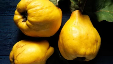 خواص به در بارداری: راهنمای کامل فواید، خطرات و نحوه مصرف