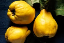 خواص میوه به برای تخمدان: از تقویت باروری تا مدیریت کیست