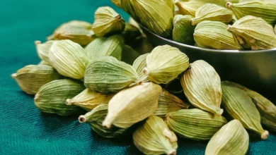هل در بارداری: راهنمای کامل فواید، خطرات و مصرف ایمن