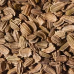 خواص تخم هویج: راهنمای جامع فواید، خطرات و نحوه مصرف مبتنی بر شواهد علمی