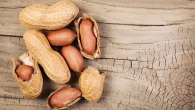 بادام زمینی و سلامت تخمدان: راهنمای جامع فواید، خطرات و نحوه مصرف برای باروری و PCOS