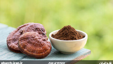 قارچ گانودرما و نوید سلامت برای کبد چرب