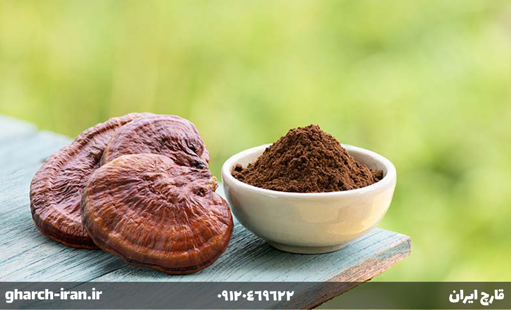 قارچ گانودرما و نوید سلامت برای کبد چرب