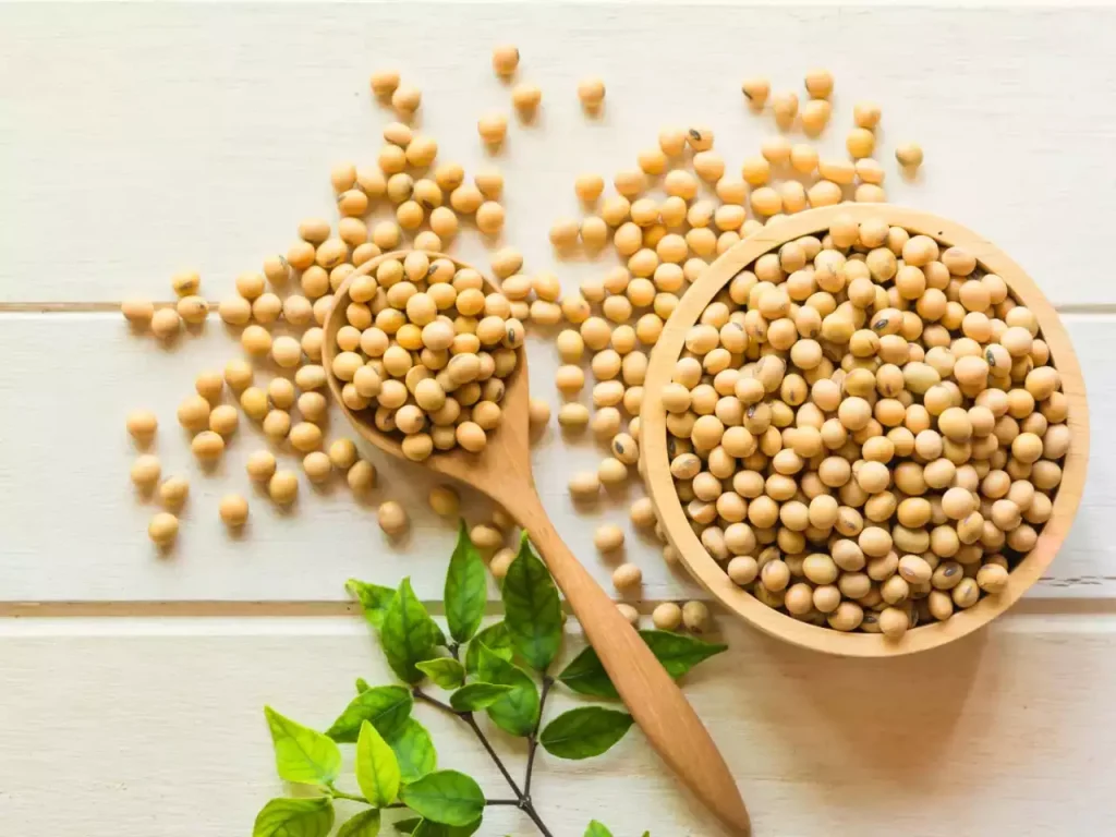 خواص سویا آجیلی برای مردان (4 خاصیت شگفت انگیز)