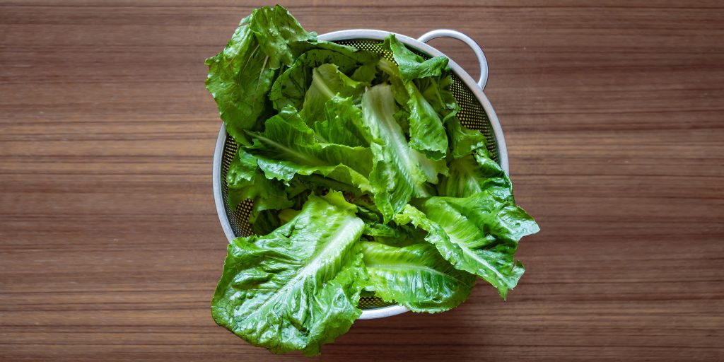 خواص جوشانده برگ کاهو (5 خاصیت شگفت انگیز)