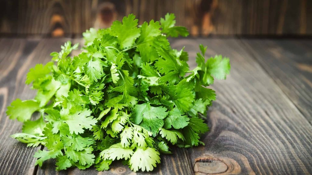 خواص گشنیز (0 تا 100 نکات درمانی و تغذیه ای)