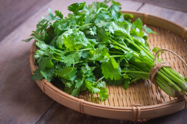 نکات درمانی گشنیز