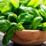 خواص ریحان (0 تا 100 نکات درمانی و تغذیه ای)