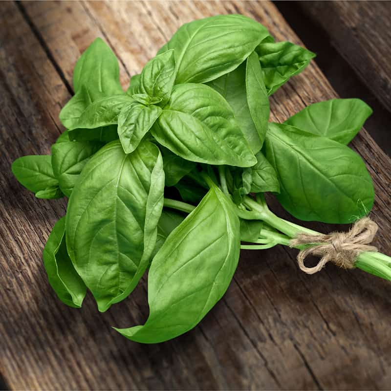 خواص ریحان برای قلب (6 خاصیت شگفت انگیز)