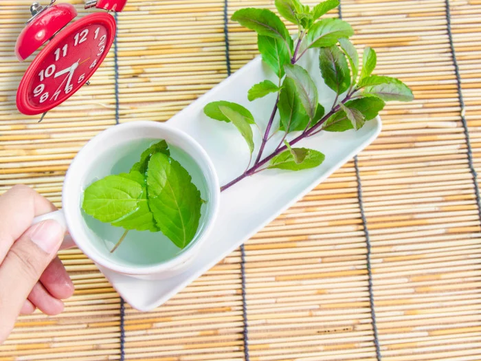 خواص دمنوش ریحان در طب سنتی (5 خاصیت شگفت انگیز)