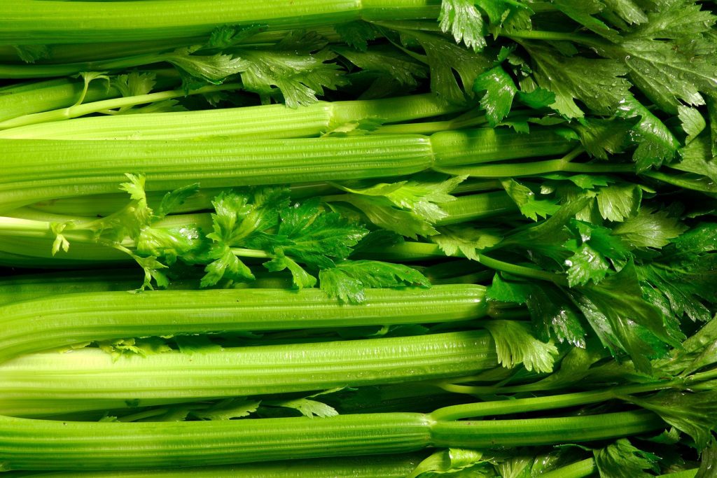 خواص کرفس برای زنان (5 خاصیت شگفت انگیز)