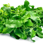 خواص ریحان میخکی (5 خاصیت شگفت انگیز)