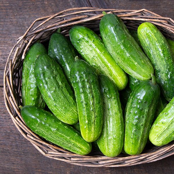 خواص خیار برای مردان (6 خاصیت شگفت انگیز)