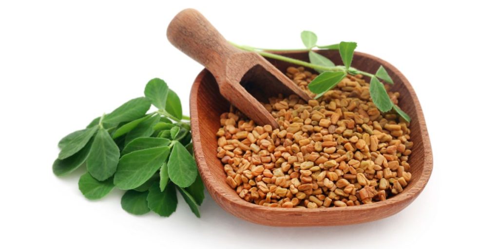خواص شنبلیله برای کاهش چربی خون (4 خاصیت شگفت انگیز)