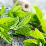 خواص نعناع برای عفونت (3 خاصیت فوق العاده)