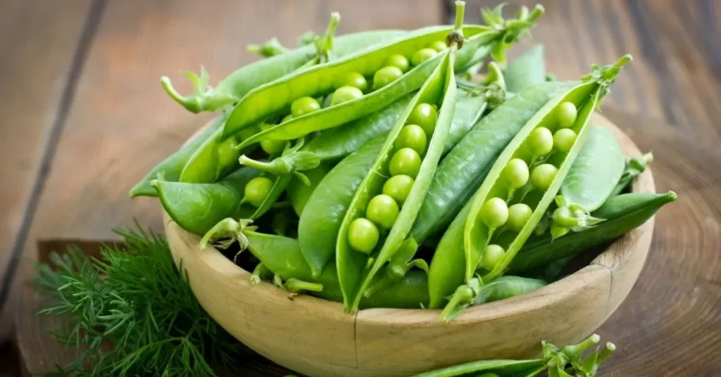 خواص نخود فرنگی (0 تا 100 نکات درمانی و تغذیه ای)