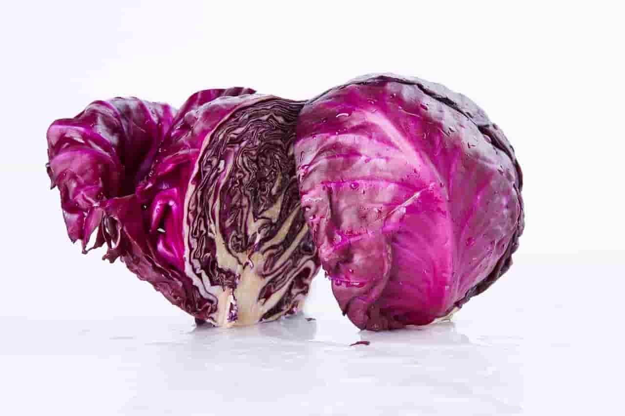 تاریخچه کلم قرمز