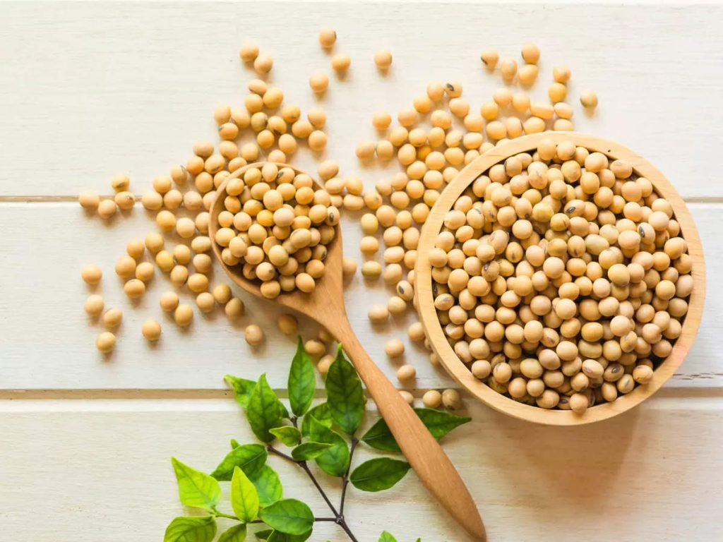 خواص سویا (0 تا 100 نکات درمانی و تغذیه ای)