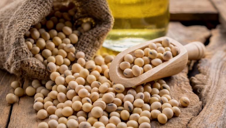 خواص دانه سویا در طب سنتی (4 خاصیت شگفت انگیز)