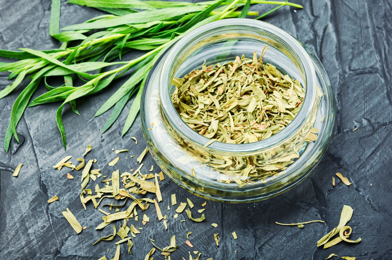 خواص ترخون (0 تا 100 نکات درمانی و تغذیه ای)