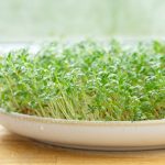 خواص گیاه شاهی برای زنان (2 خاصیت شگفت انگیز)