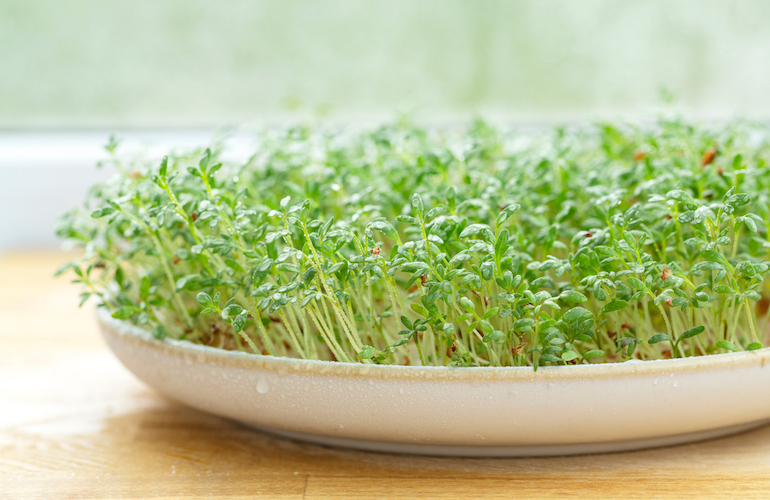 خواص گیاه شاهی برای زنان (2 خاصیت شگفت انگیز)