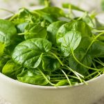خواص شاهی تره تیزک (0 تا 100 نکات درمانی و تغذیه ای)