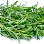 خواص مرزه کوهی در طب سنتی (4 خاصیت شگفت انگیز)