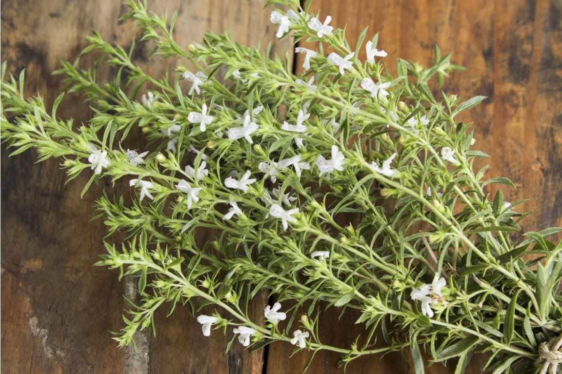 خواص عرق مرزه (4 خاصیت شگفت انگیز)