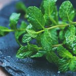 خواص نعناع برای کبد (5 تاثیر حیرت انگیز)