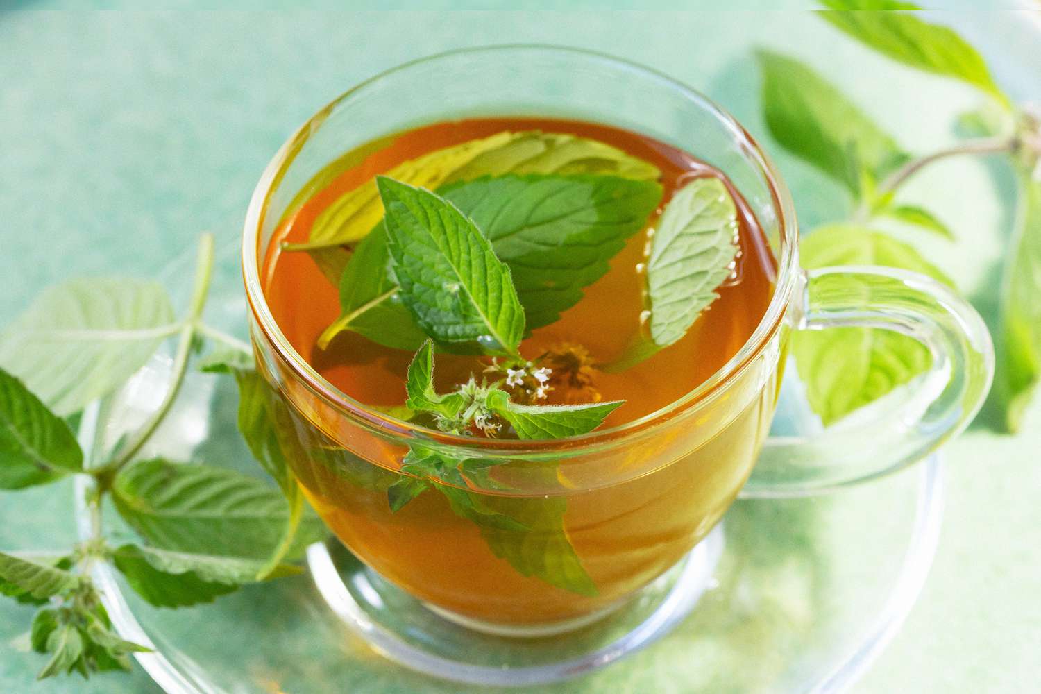 خواص چای نعناع برای پوست (5 خاصیت فوق العاده)