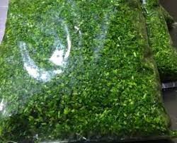 سبزی کوکو را چگونه فریز کنیم ( 2 نکته ساده)