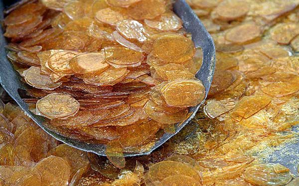 پولکی را چطور نگهداری کنیم ؟ (2 نکته ساده)